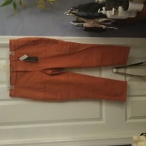 Banana Republic Sloan Stretch Chinos